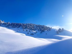 Winter trip in Kyrgyzstan
